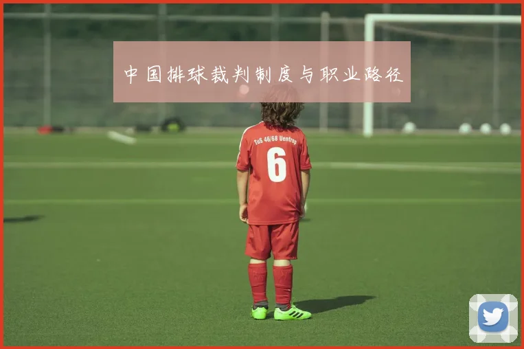 中国排球裁判制度与职业路径